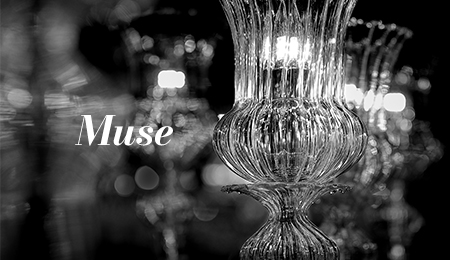 Muse系列产品介绍